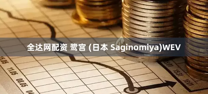 全达网配资 鹭宫 (日本 Saginomiya)WEV